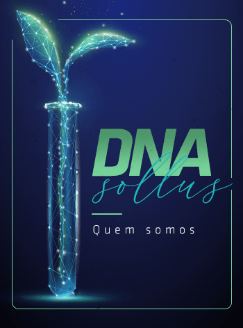 sollus-min